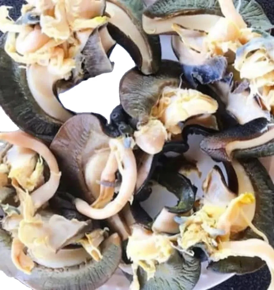 Fresh African Giant Snails/processed Alive,Frozen,Dried,Fresh Snails