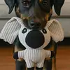 Lola the Cow