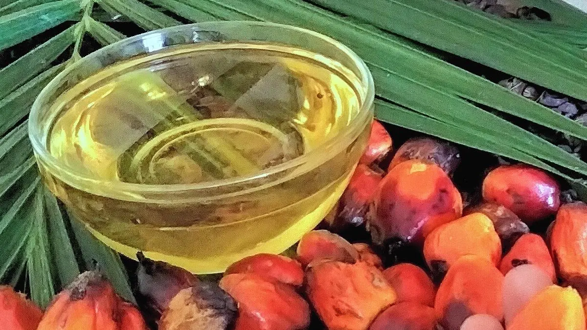 Wholesale Organic Refined High Quality Pure Palm Oil in Plastic Bottle & Bulk Drum for Cooking Factory Available Wholesale rate