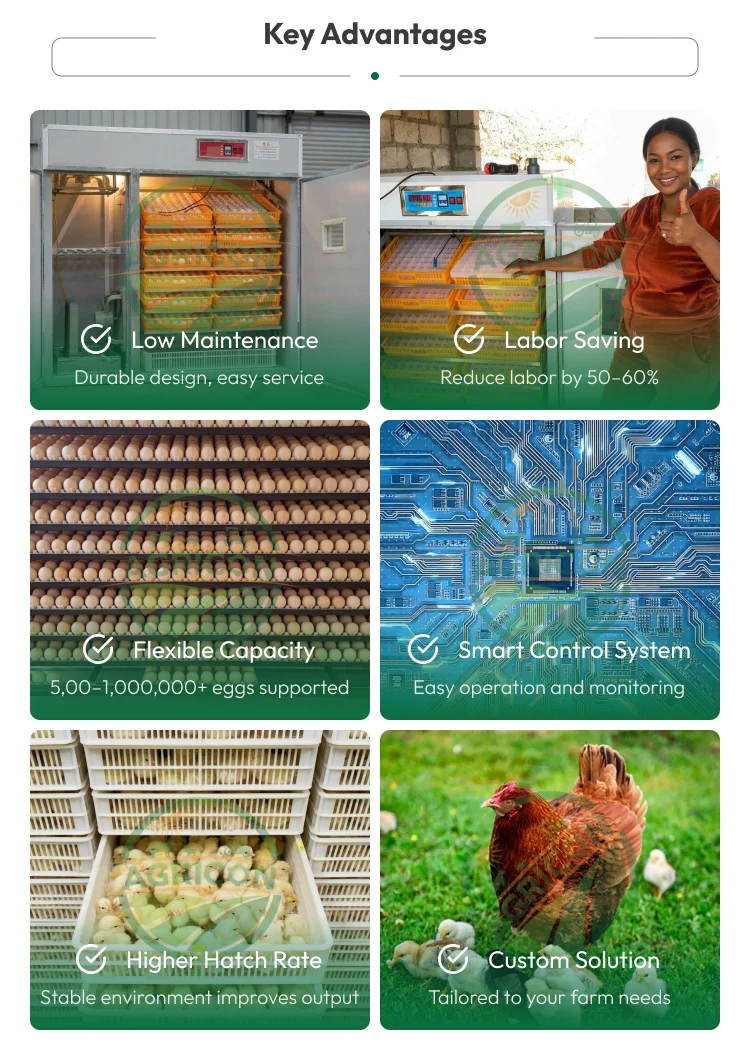 Hatchery Incubator Equipment