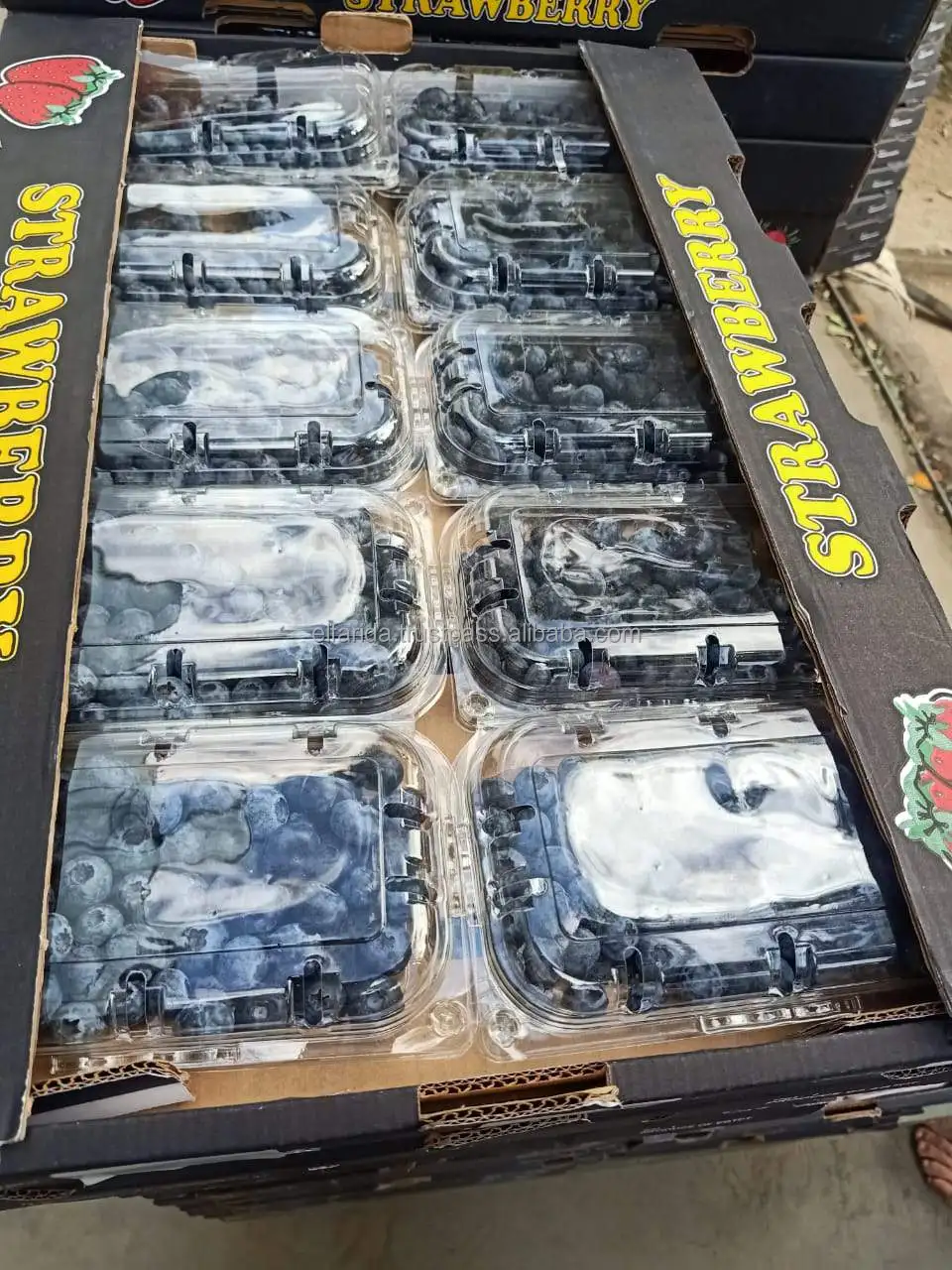 x8.jpg