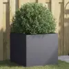 Anthracite Color