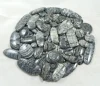 Gris noirâtre, vendu au poids (grammes), 12 à 14 pièces pour 100 g