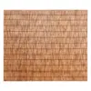 Brown Color