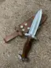 polished silver with dark brown handle