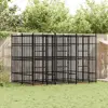 Black Color