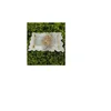 As Per Image