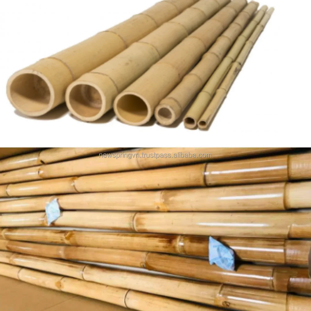 Bamboo Cane Bambu Stick Bamboo Pole For Plant Support Rods Or Bamboo Fence Buy Bamboo Poles