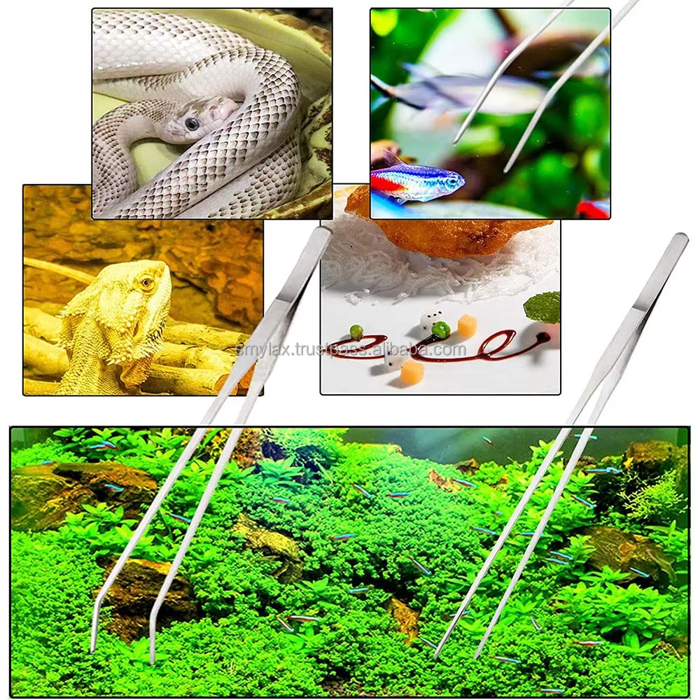 Feeding Tongs Stainless Steel Straight And Curved Tweezers For Aquarium