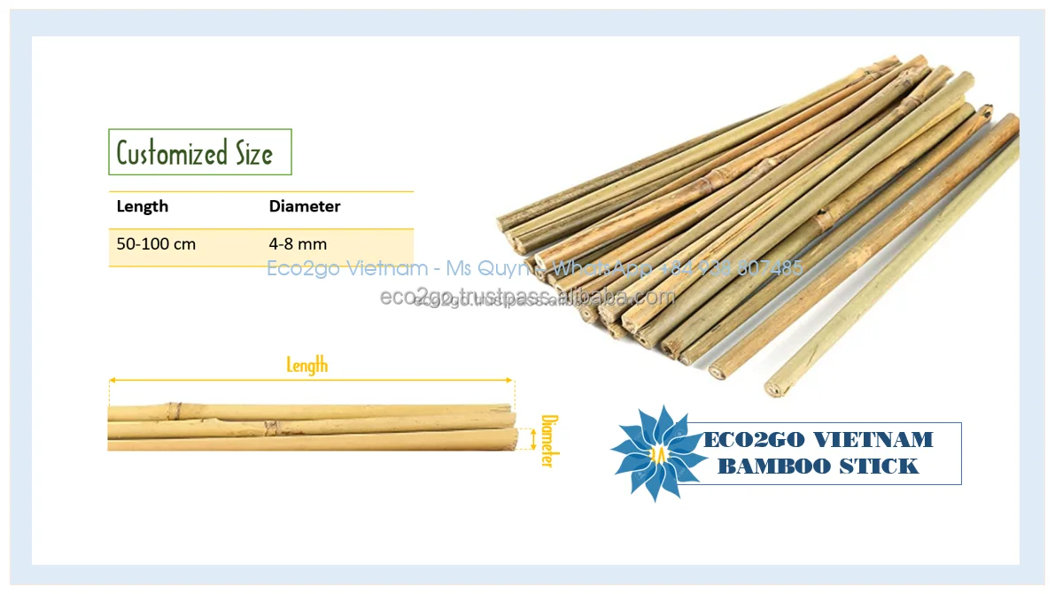 Best Selling Natural Bamboo Sticks/ Decorative Bamboo Sticks/ Bamboo