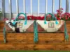 Turquoise With Brown  Cowhide
