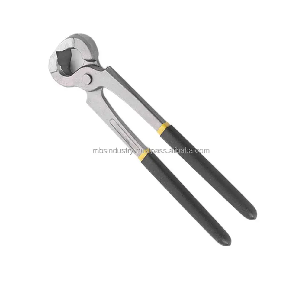 Professional Farrier Horse Hoof And Claw Instrument Tool Stainless