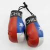 bandera de chile