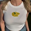 múltiple