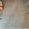 Cream Beige