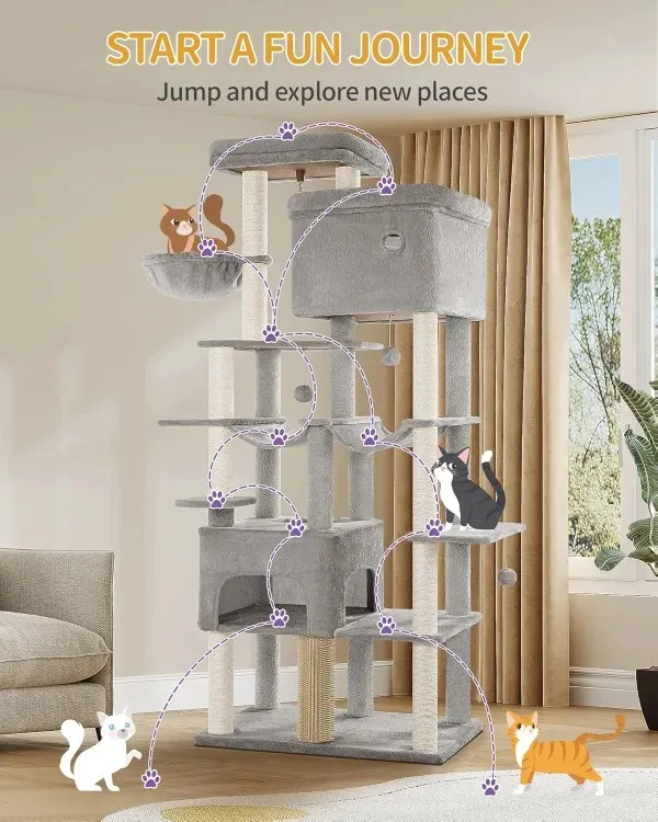 Katzen Kletterpfad