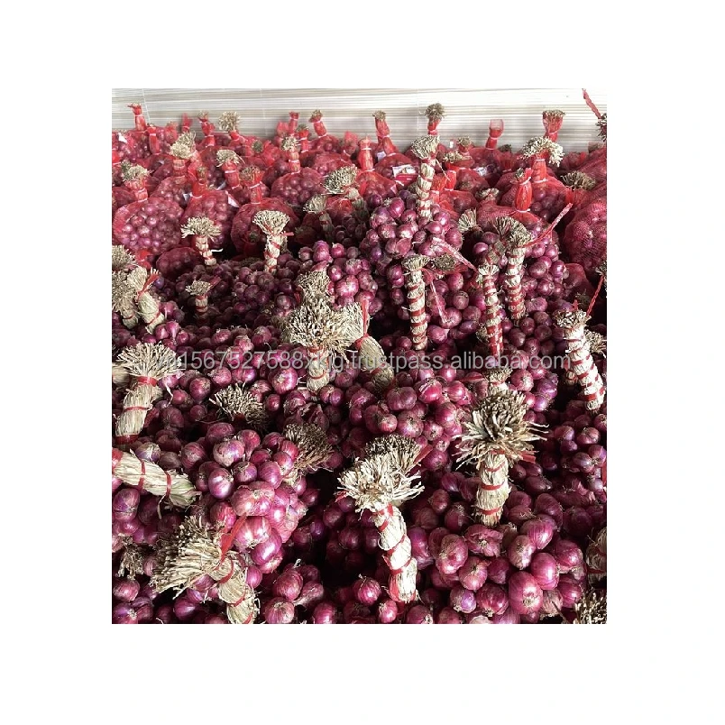 Свежий лук красный лук/золотой высокое качество лучшая цена-Используйте для приготовления хорошая цена от Вьетнама