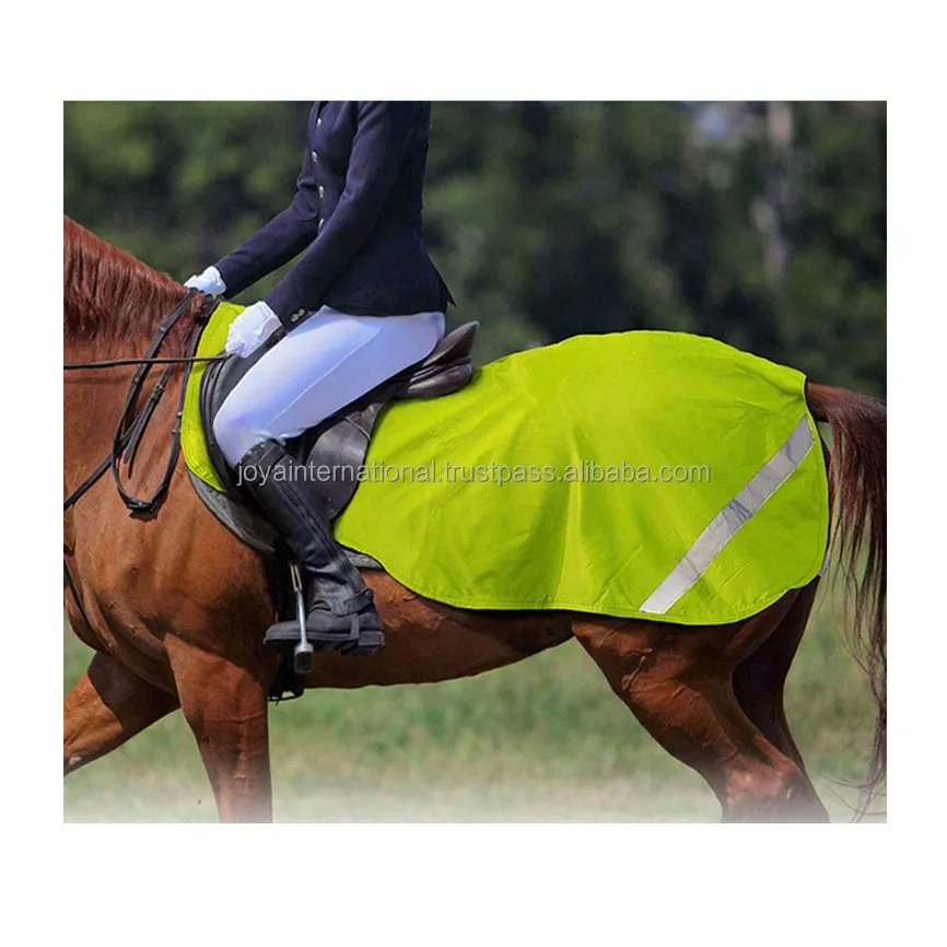 Seasonal Turnout Horse Exercise Sheet Blanket Ripstop 6001680 Denier