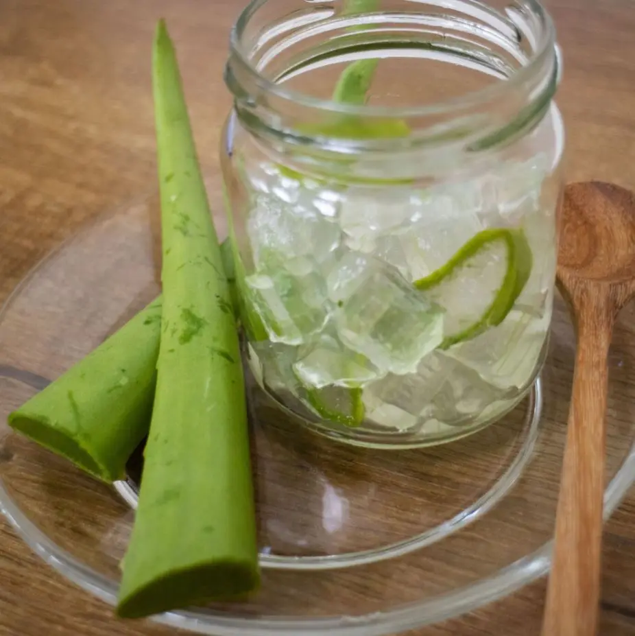 Высококачественные вкусные кубики алоэ вера-Желе Алоэ Вера для сокового напитка // Ms. Beatrix