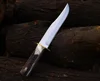 stag horn