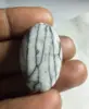 MULTICOLORE