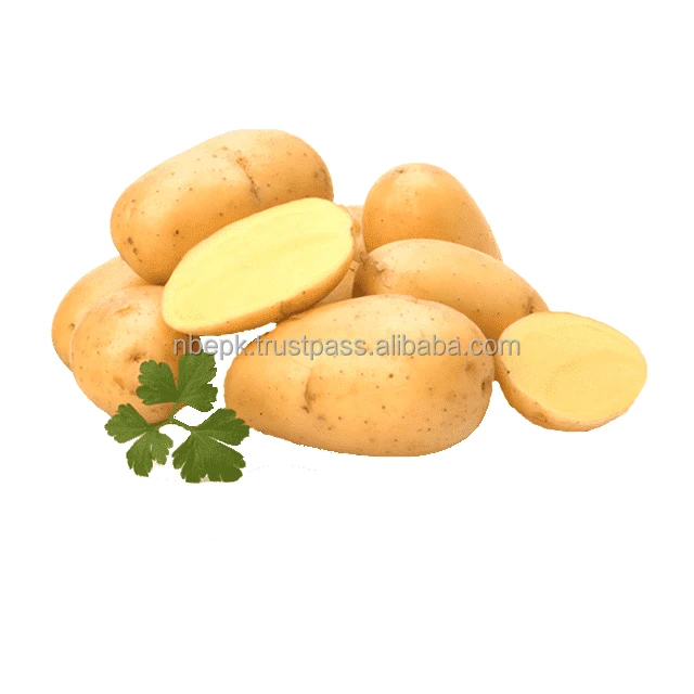 Fresh Potato Vegetables Supply Important Nutrients. They Are Content As ...