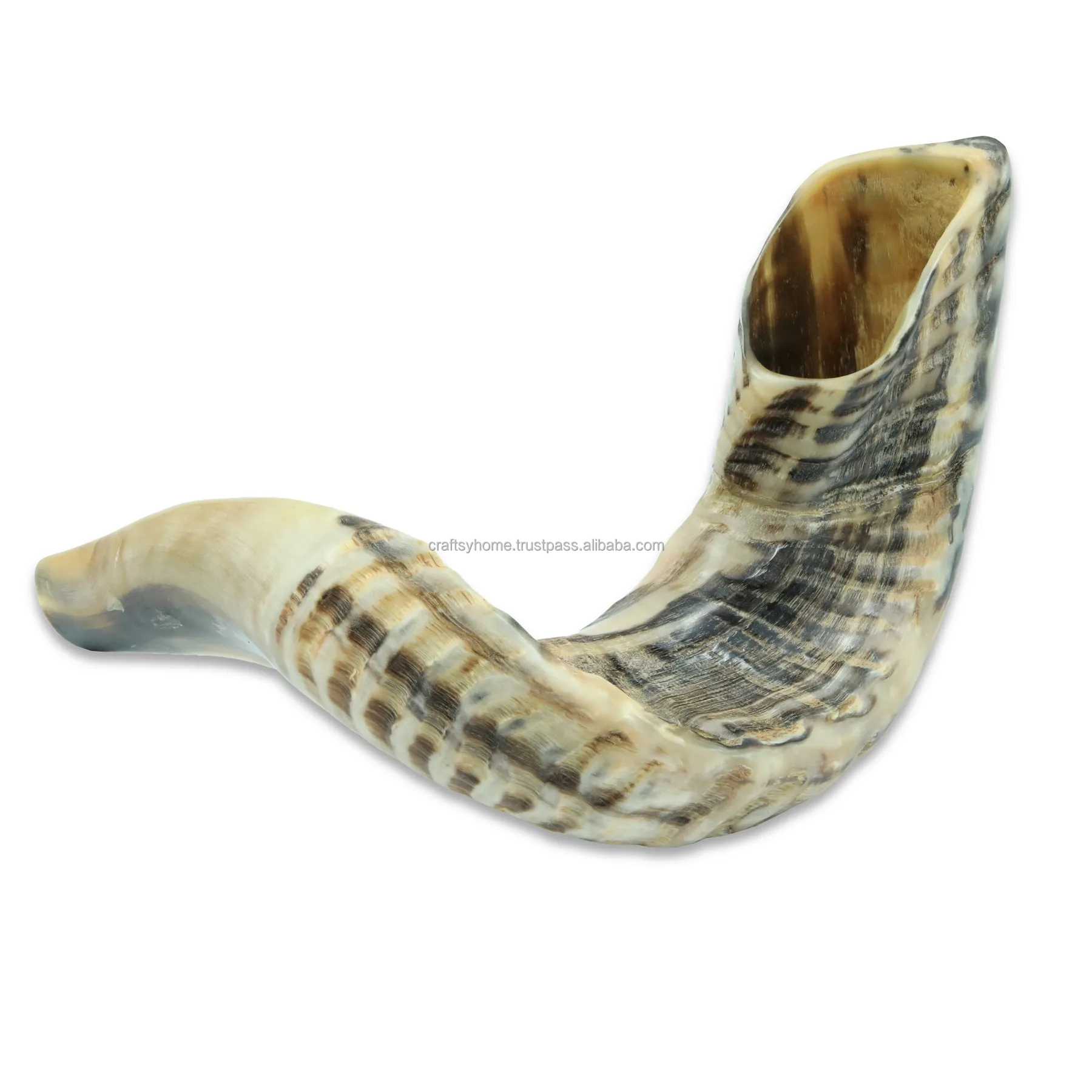 Handmade Natural Ram Horn Shofar For Blowing And Religious Purpose