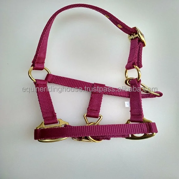 Hot Sale Horse Halter With Lead Rope High Quality Equestrian Equine