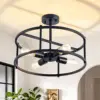 Black Color