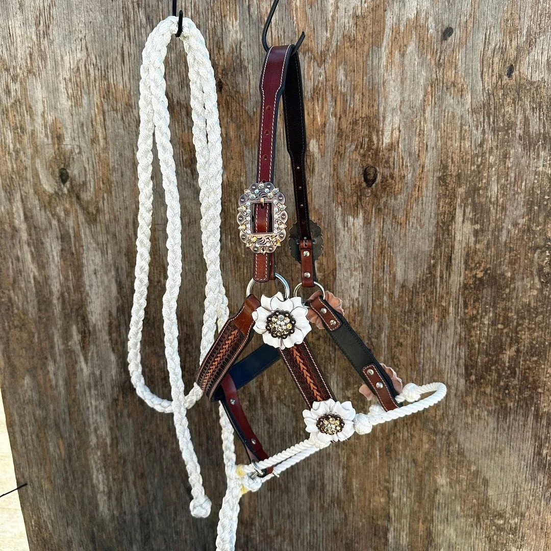 Hand Tooled Leather Designer Nylon Rope Halter and Lead Equestrian ...