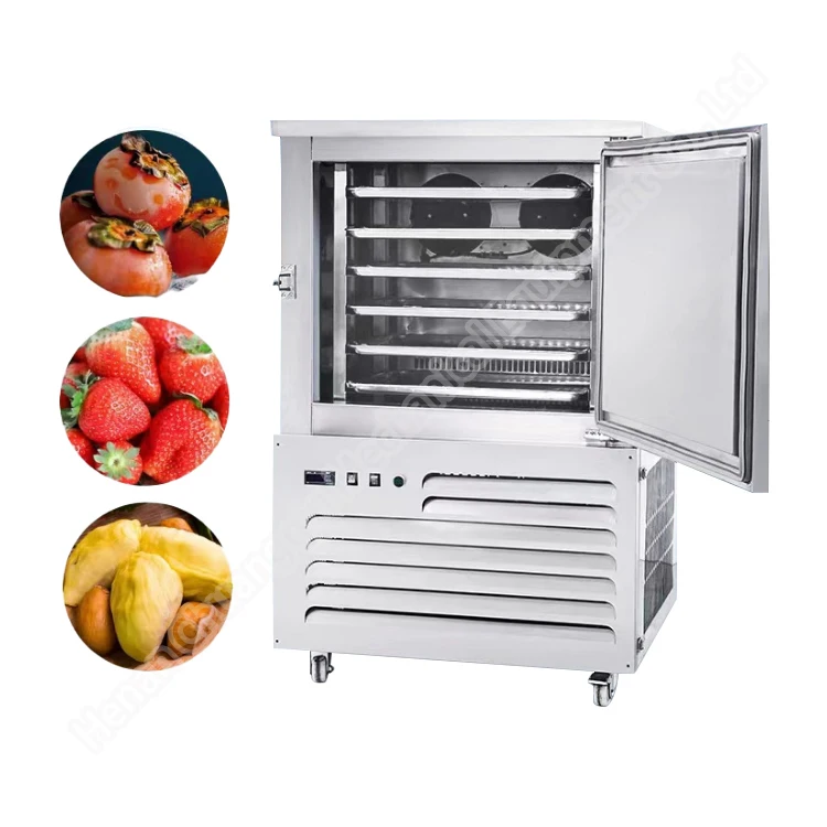 Quick Freezer, 220V, good - detail 2