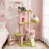 Pink Color