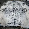 Light Grey and White Speckled