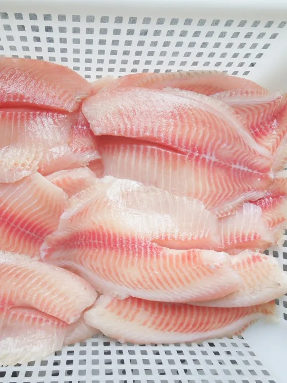 Hotsale Frozen Fish Bulk Pack Ivp Pack Tilapia Fillet With All Size