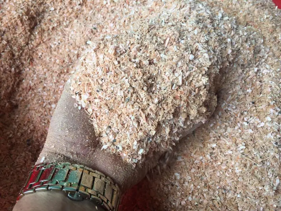 High Quality Shrimp Shell/ Crab Shell/ Crab Shell Powder for Animal Feed, From Vietnam Supplier