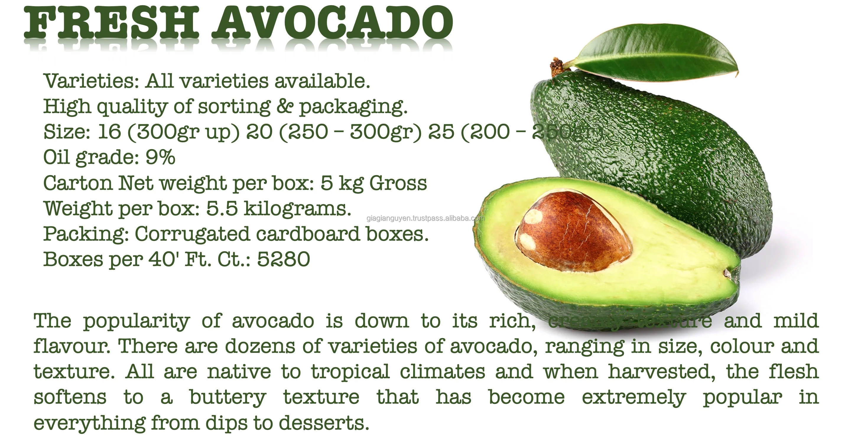 Fresh Avocado - Iqf Frozen Avocado - High Quality Avocado For Sale 