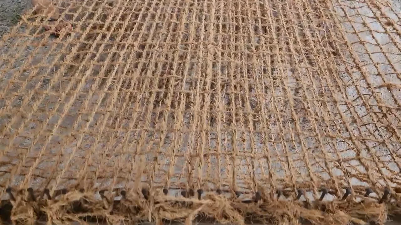 Coconut Net Coir Geotextile Coir Net Vietnam Effective Soil Erosion ...