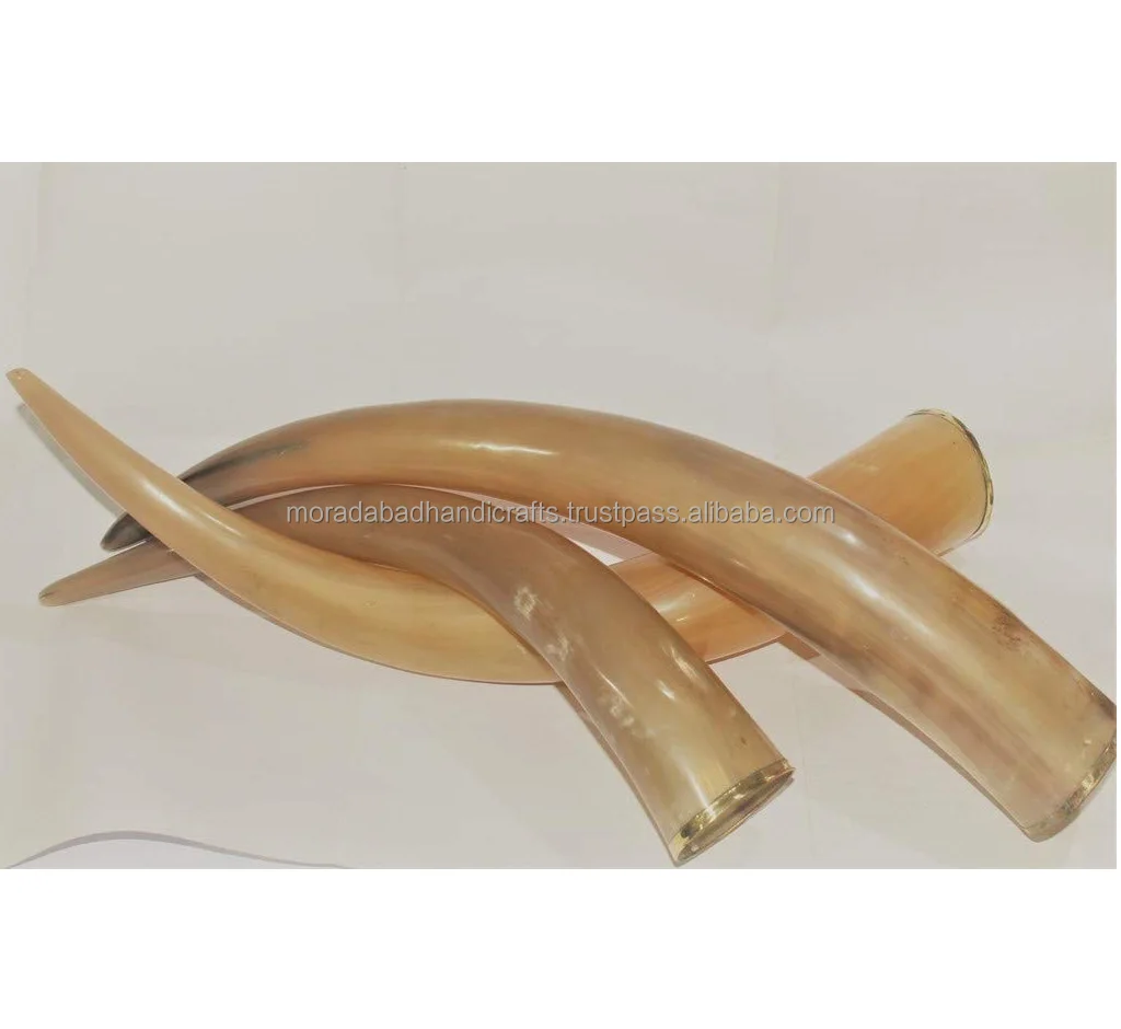 drinking horn with stand - genuine handcrafted horn for beer