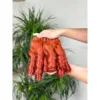 สีส้ม