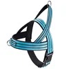 Reflective Blue