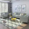 Gray Color