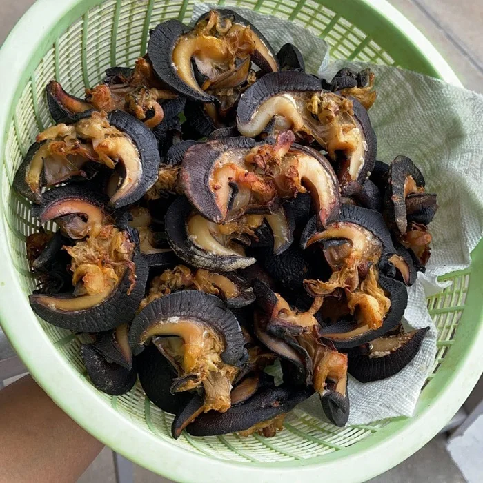 Freshly Dried African Giant Snails 5-8cm Quality Protein-Rich