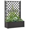 Anthracite Color