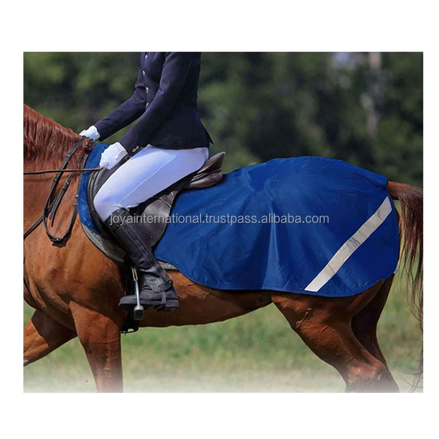 Seasonal Turnout Horse Exercise Sheet Blanket Ripstop 6001680 Denier