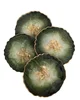 As Shown