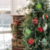 Multicolour Color