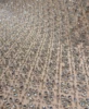 As Per Image