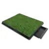 Green Color
