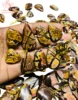 As Seen As Photo (Natural Color)