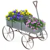 as picture Color